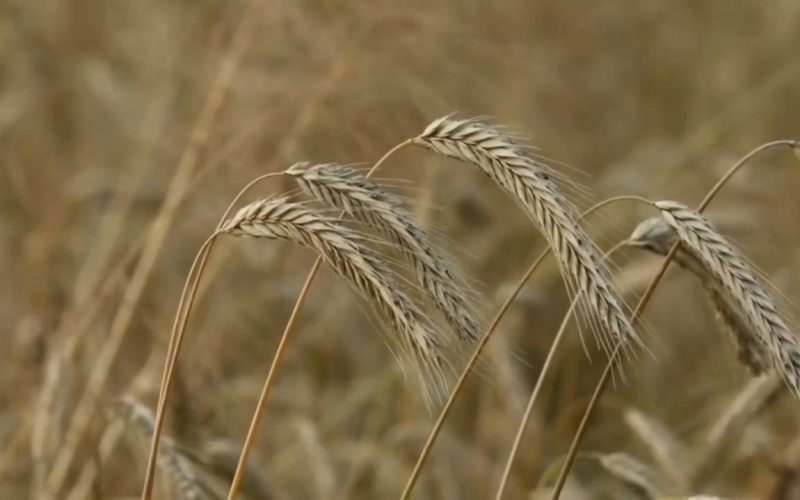 photo_۲۰۲۲-۰۸-۱۰_۱۴-۳۱-۴۸